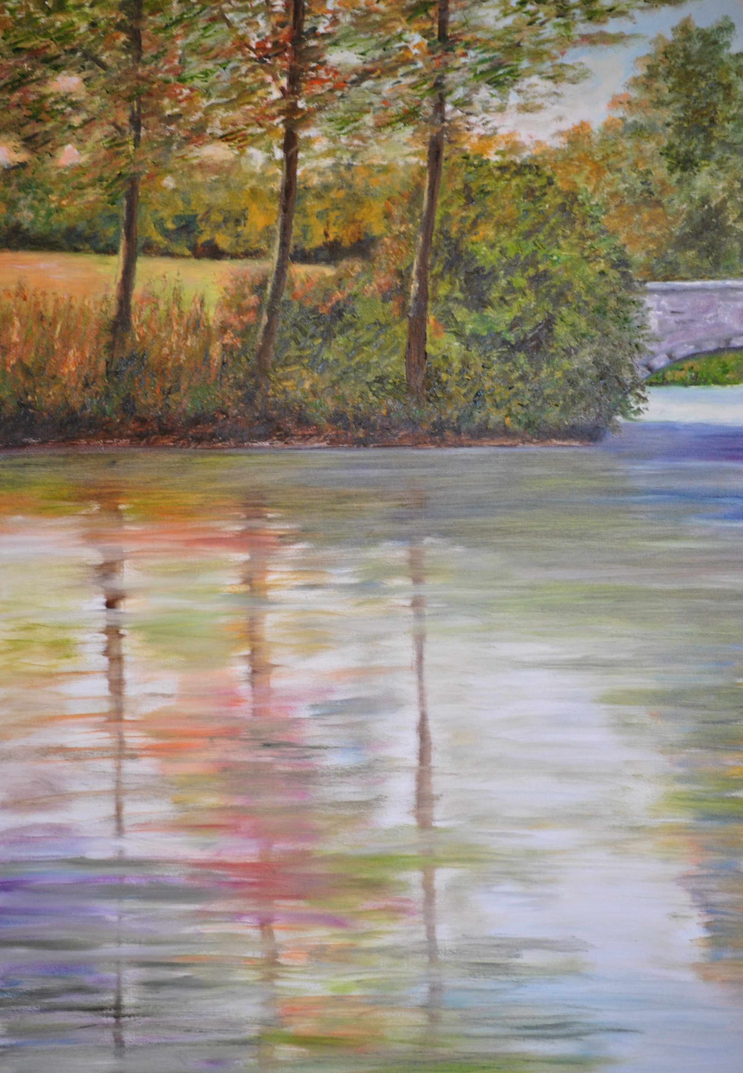 Riflessi sul fiume Riflessi sul fiume