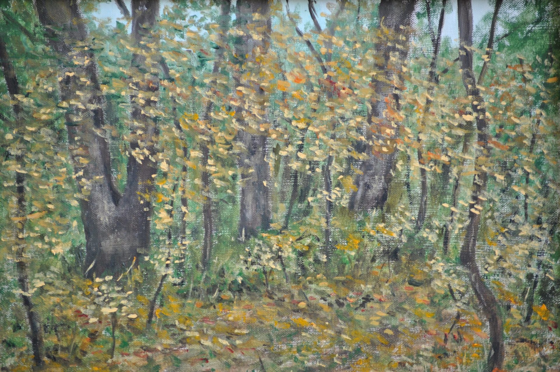 “Nel bosco” olio su tela cm 40×30 “Nel bosco” olio su tela cm 40×30